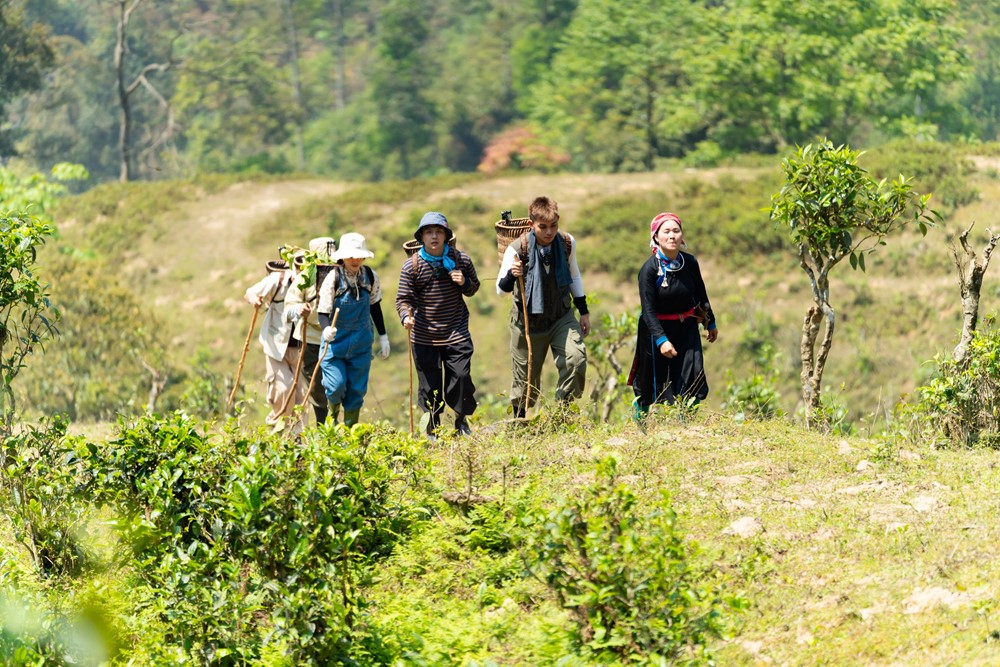 YeaH1 đón tin mừng, dàn cast chương trình hot bậc nhất hiện tại vừa được Sở Văn hóa, Thể thao và Du lịch trao giấy khen - ảnh 2