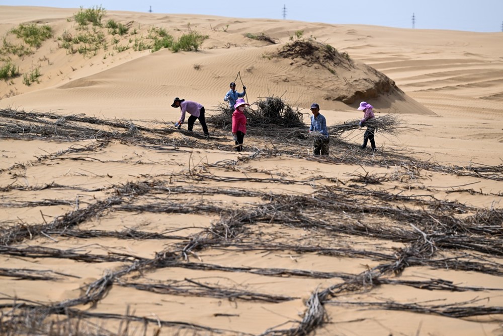 Láng giềng Việt Nam hoàn thành ‘lá chắn xanh’ dài gần 2.000km kết nối 3 sa mạc, kiểm soát diện tích lên tới 94.700km2 - ảnh 2