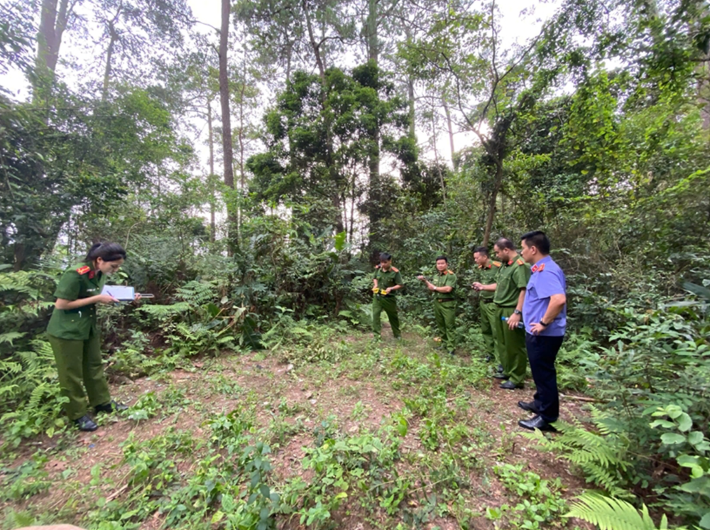 Khởi tố, bắt tạm giam M.H 18 tuổi - ảnh 2