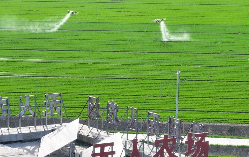 ‘Nông nghiệp không người’ lên ngôi tại Trung Quốc: Sử dụng AI thu hoạch mất đúng 1 phút, con người chỉ việc ngồi điều khiển robot làm hết  - ảnh 1