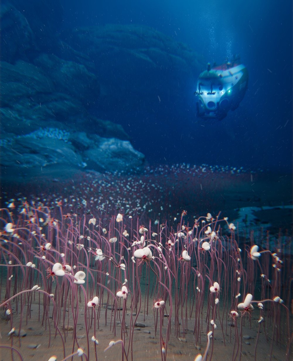 Phát hiện quần thể sinh vật sống khổng lồ ở nơi sâu nhất thế giới, gây chấn động giới khoa học - ảnh 1