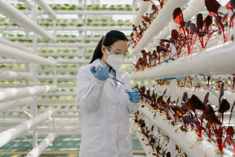 Láng giềng Việt Nam ra mắt robot lai giống thông minh đầu tiên trên thế giới - ảnh 2