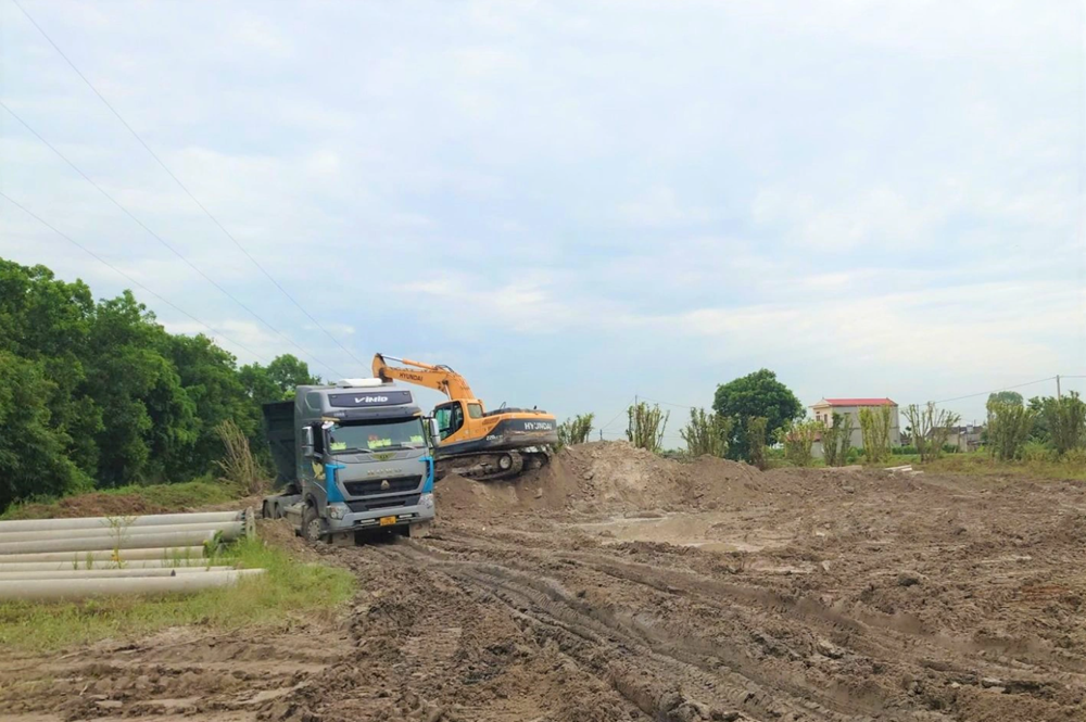 Khởi tố Giám đốc Đỗ Thanh An sinh năm 1969 - ảnh 1