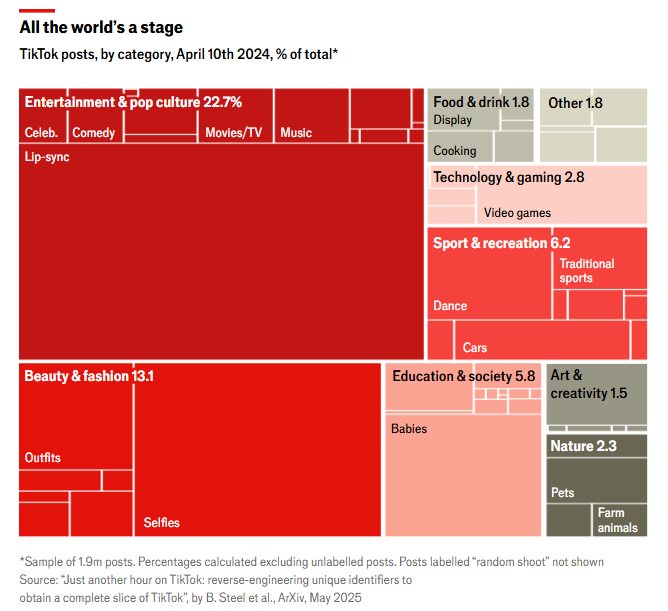 116 triệu người dùng và lá bài quyền lực mang tên TikTok - ảnh 3