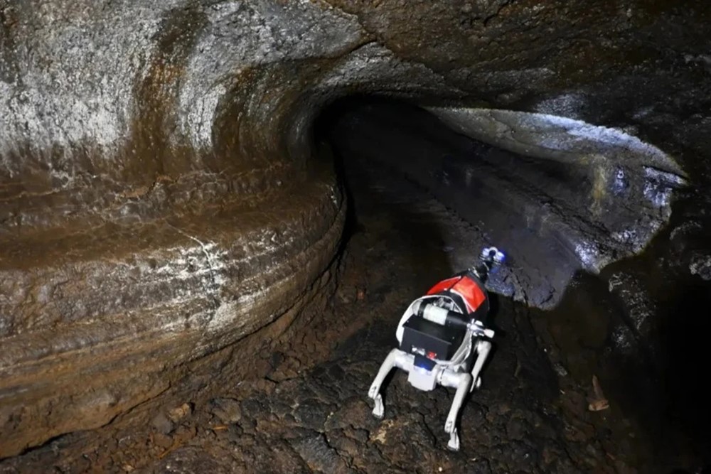 Láng giềng Việt Nam muốn đưa ‘chó robot’ biết tự dò đường, vẽ bản đồ 3D lên Mặt Trăng - ảnh 1