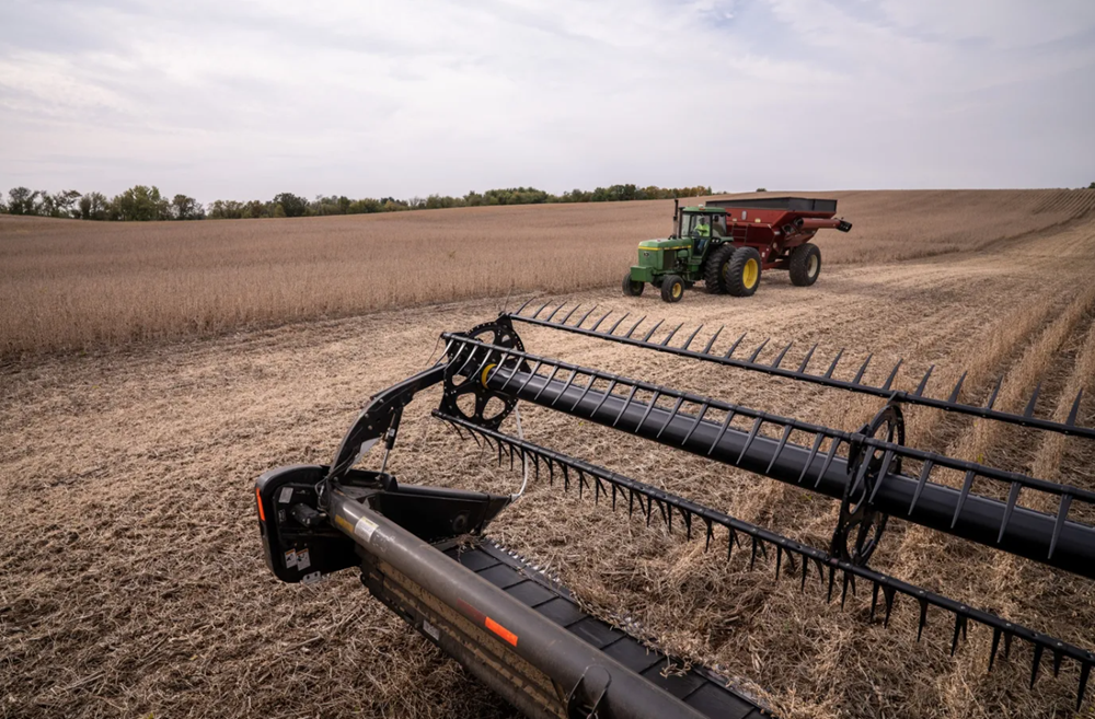 Trung Quốc bất ngờ xuống tiền mua 'đáng kể' một mặt hàng Mỹ, nông dân thở phào  - ảnh 1