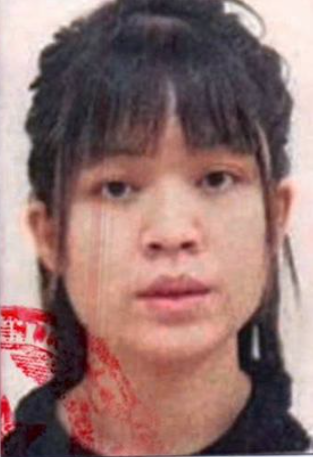 Truy nã đặc biệt Nguyễn Hoàng Thanh Trúc sinh năm 1991 - ảnh 1