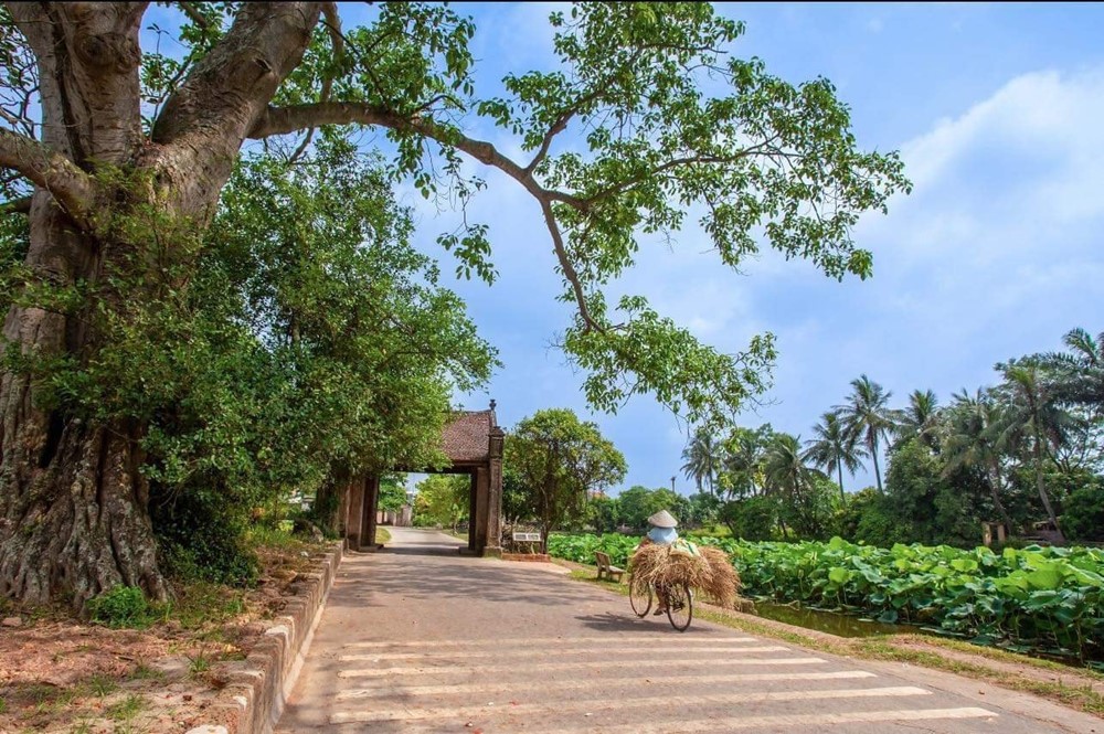 Ngôi làng duy nhất Việt Nam được mệnh danh là ‘đất hai vua’, cách Hà Nội 44km, đang lưu giữ 956 ‘báu vật’ cổ - ảnh 1