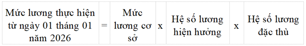 Đề xuất giáo viên, giảng viên được hưởng hệ số lương đặc thù - ảnh 2