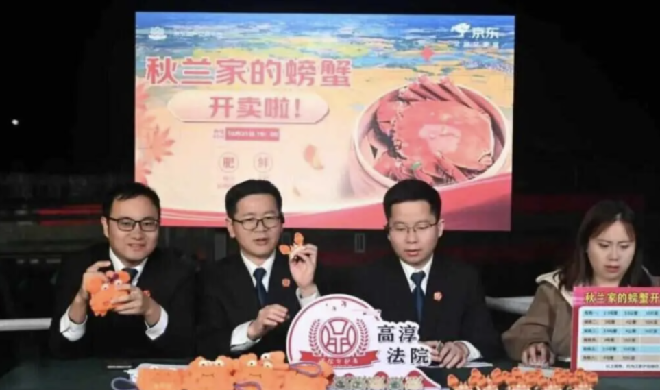 3 thẩm phán livestream ‘bán cua’ tại tòa - ảnh 1