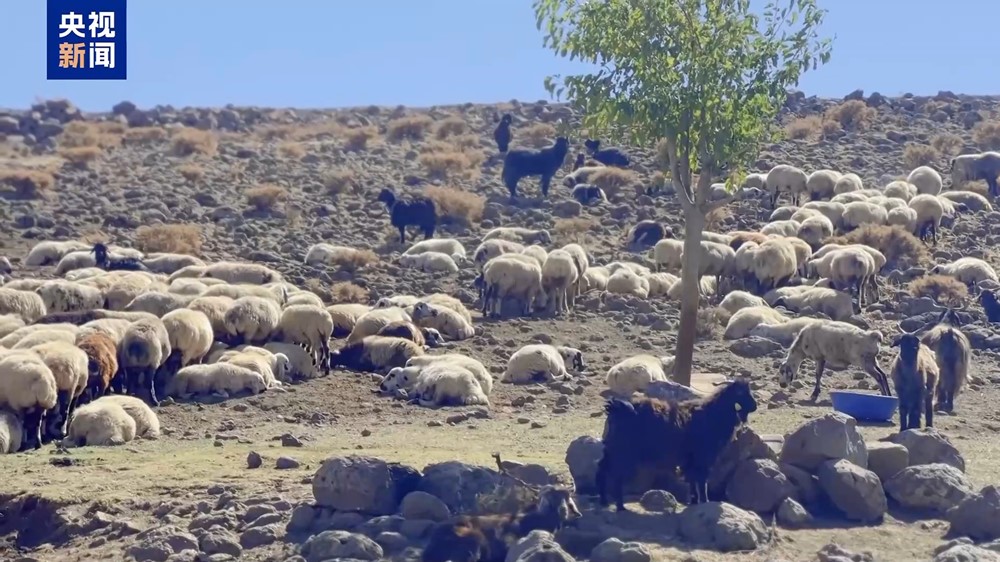 Nghề ‘hái ra tiền’ nhưng cực khát nhân lực, tháng trả trăm triệu đồng mà không cần bằng cấp cao - ảnh 1