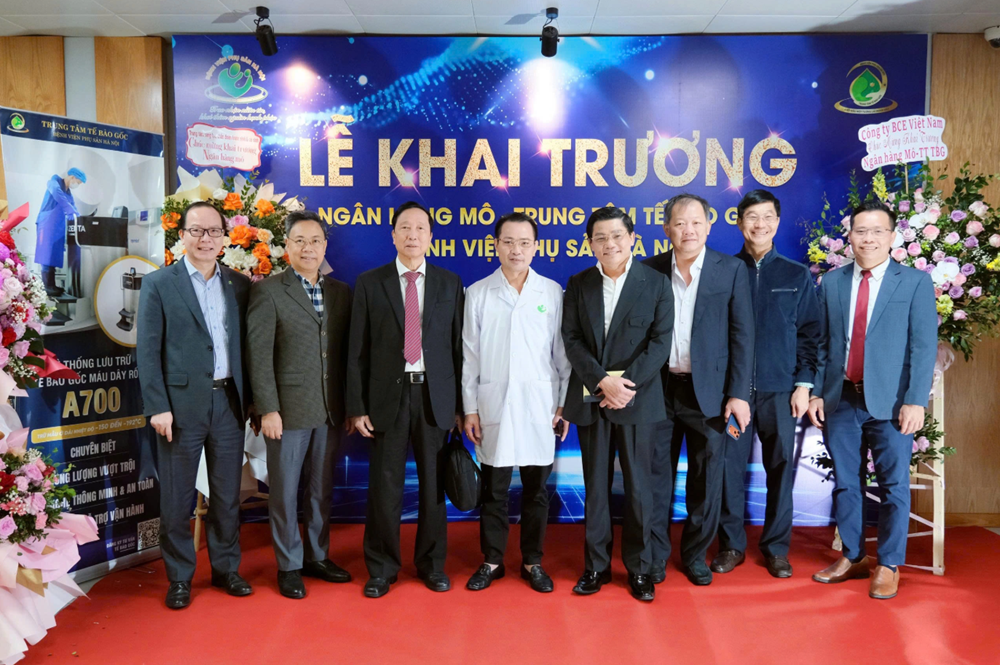 Loại tế bào ‘vạn năng’ mở ra hy vọng điều trị hơn 80 bệnh lý về máu - ảnh 2