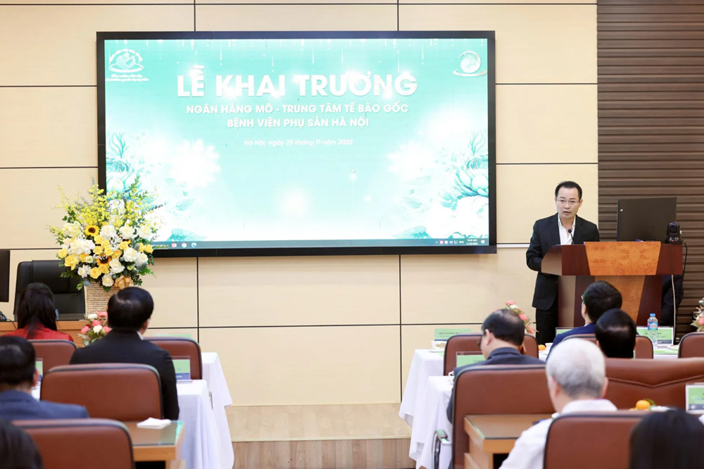 Loại tế bào ‘vạn năng’ mở ra hy vọng điều trị hơn 80 bệnh lý về máu - ảnh 1