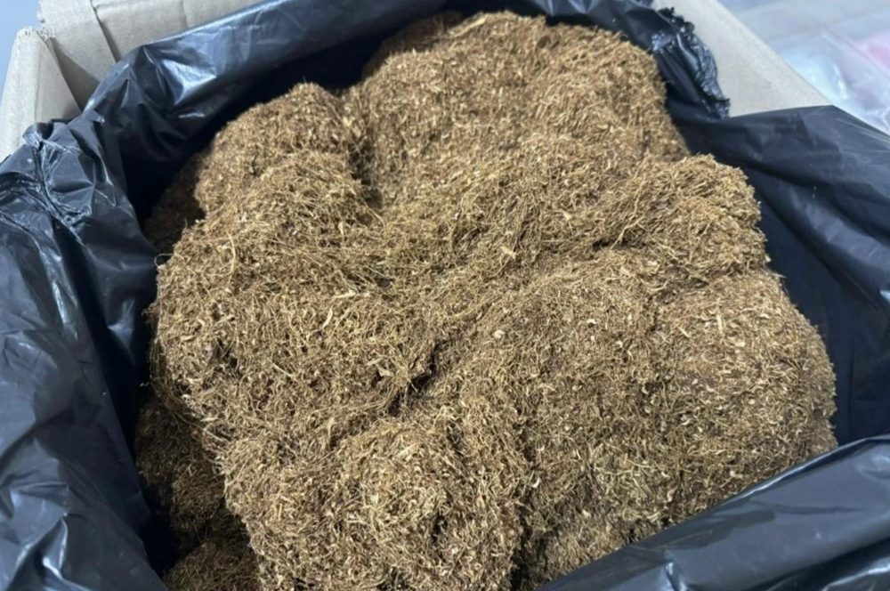 Khám xét khẩn cấp phòng trọ của Nguyễn Viết Anh Dũng và tình nhân - ảnh 2