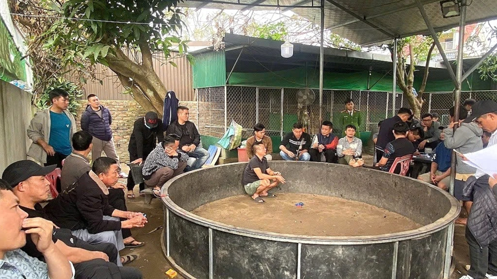 Đột kích một sới gà, bắt nóng 28 người, tịch thu 3 con gà chọi, 2 ô tô và gần 60 triệu đồng tiền mặt - ảnh 1