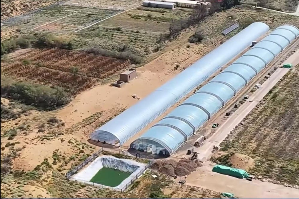 Chưa từng có trong lịch sử: Dùng sinh vật hàng tỷ năm tuổi xây ‘Vạn Lý Trường Thành xanh’ giữa sa mạc khô cằn - ảnh 2