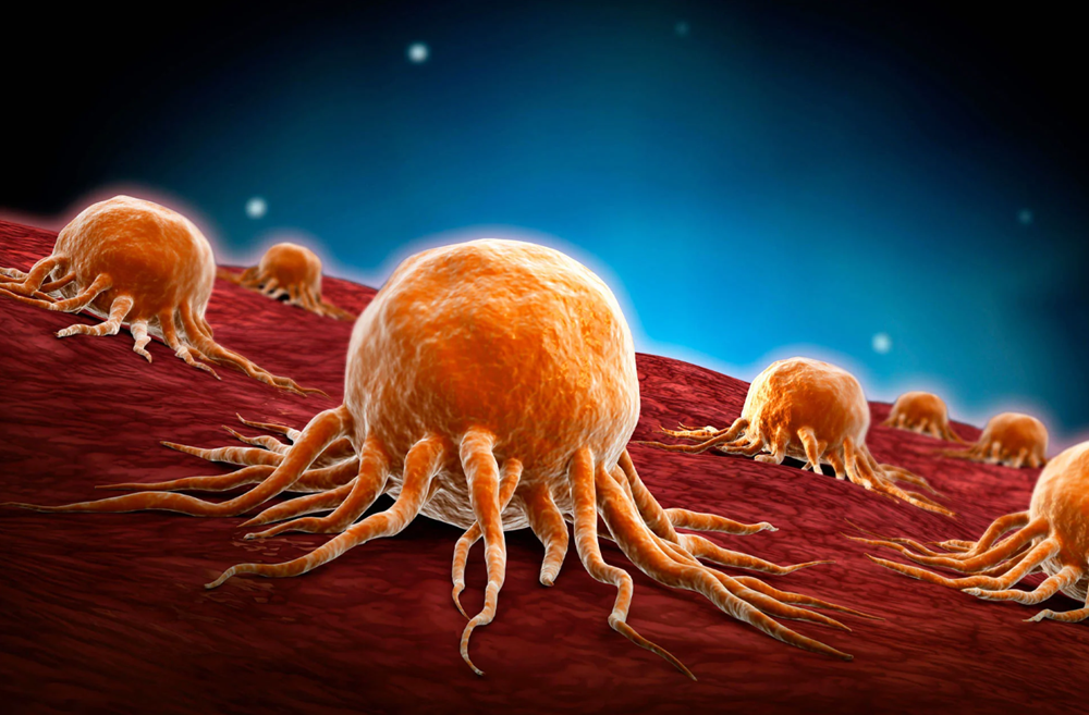 Những câu hỏi sức khỏe được tìm kiếm nhiều nhất Google 2025 - ảnh 1