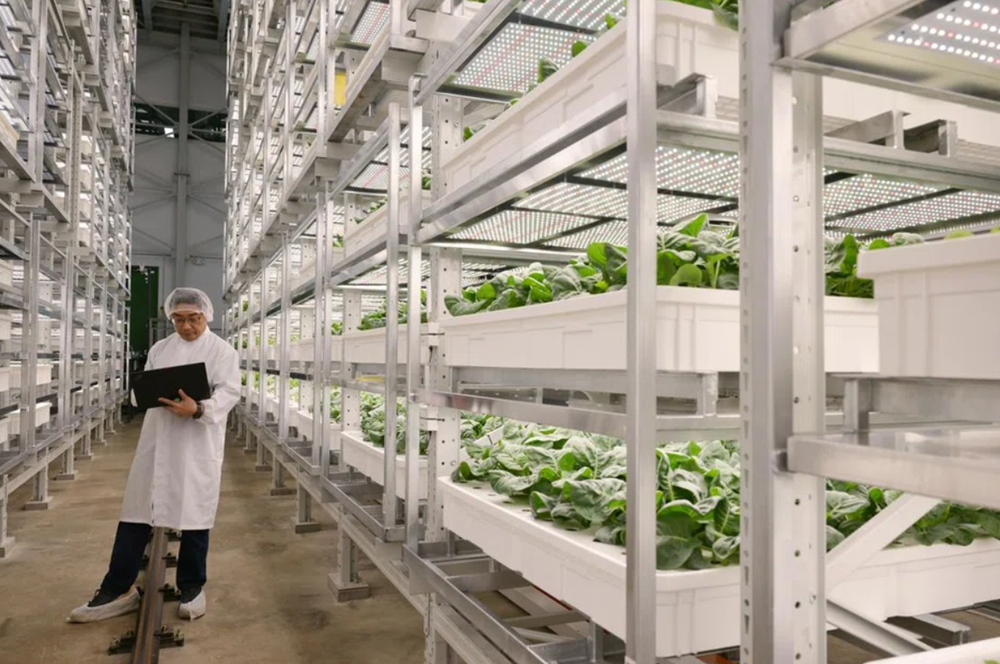 Quốc gia Đông Nam Á trình làng trang trại thẳng đứng trong nhà cao nhất thế giới, vốn đầu tư hơn 1.600 tỷ đồng   - ảnh 2