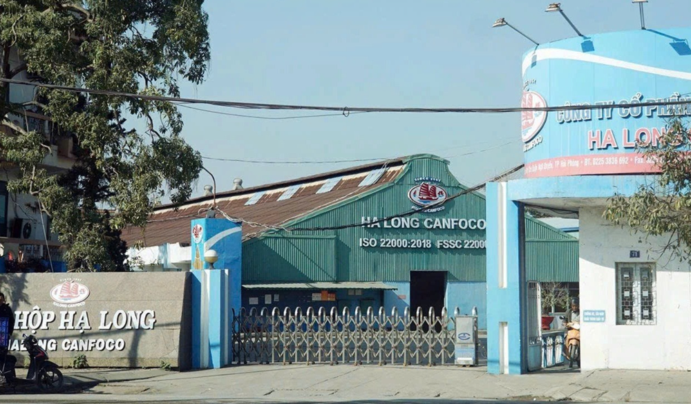 Ngoài pate, nhiều sản phẩm của Đồ hộp Hạ Long dương tính với virus tả lợn châu Phi và vi khuẩn Salmonella spp - ảnh 1