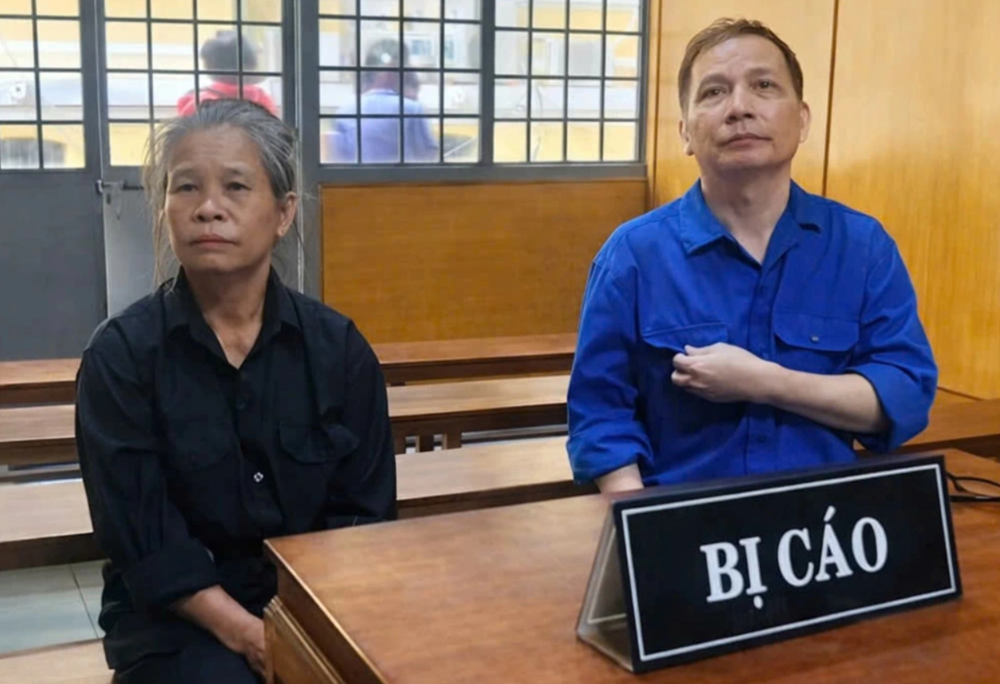 Tuyên phạt ‘luật sư’ Nguyễn Thị Thanh Vân SN 1964 7 năm tù - ảnh 1