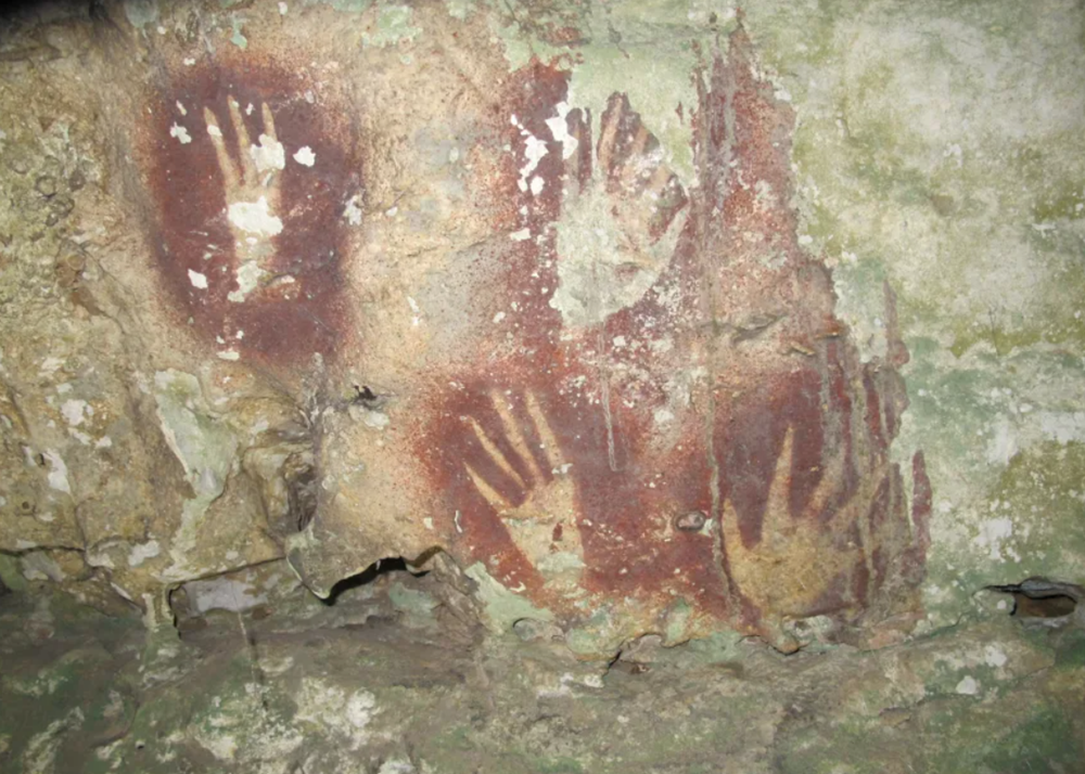 Bức tranh cổ nhất thế giới, niên đại 67.800 năm tuổi được tìm thấy tại Đông Nam Á - ảnh 1