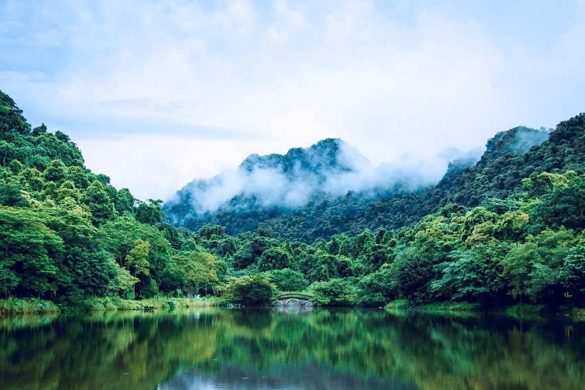 Trạm Zừng Tâm: Cuộc hội ngộ của những người trẻ quan tâm đến du lịch sinh thái và chữa lành - ảnh 6