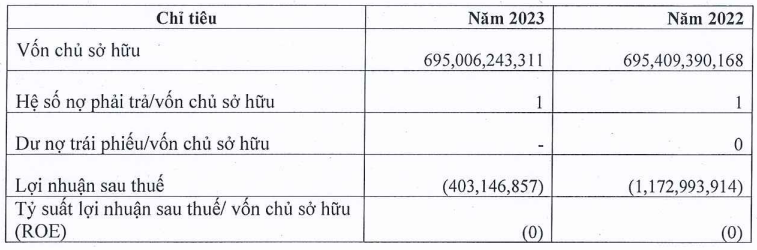 Dịch vụ Khách sạn Thùy Dương Việt Nam tiếp tục lỗ lớn trong năm 2023 - ảnh 1