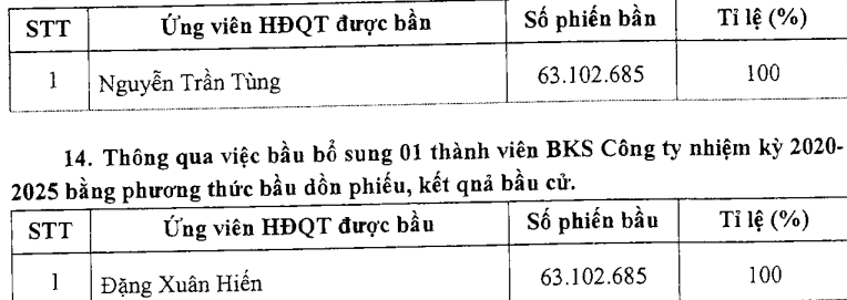 Tổng Giám đốc Taseco Land Nguyễn Trần Tùng được bầu làm Chủ tịch ICON4 - ảnh 1