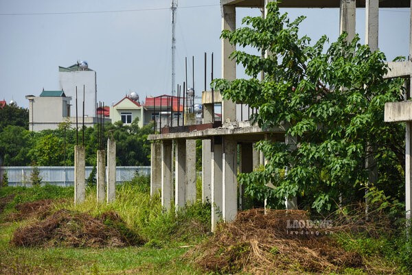 Trách nhiệm nhiều Sở, ngành Bắc Ninh vụ dự án bệnh viện nghìn tỉ bỏ hoang - ảnh 4