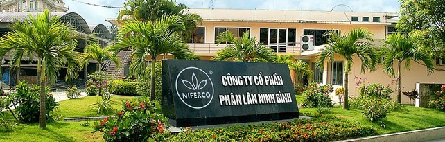 Phân lân Ninh Bình: Lợi nhuận tăng mạnh, khoản tiền gửi ngân hàng gấp 6,8 lần - ảnh 1