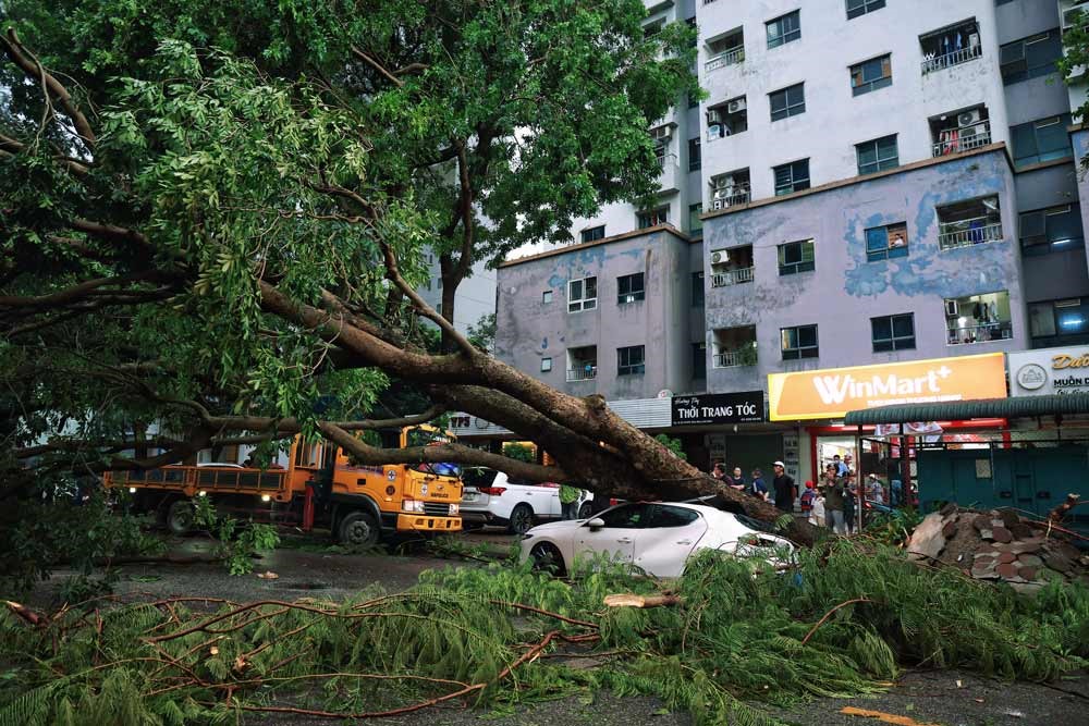 “So găng” các ông lớn dẫn đầu doanh thu bảo hiểm xe cơ giới - ảnh 2