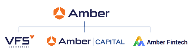 Cách EVNFinance - Amber Holdings tạo sức ảnh hưởng lớn tại Eximbank - ảnh 3