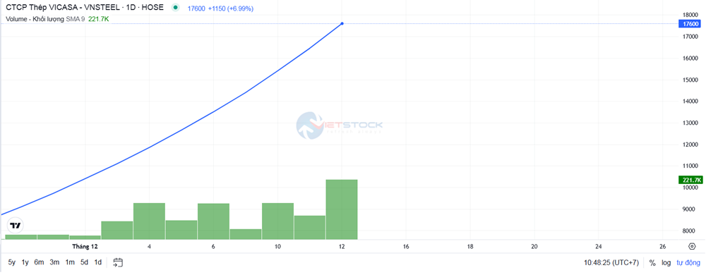 Sau 10 phiên kịch trần, một cổ phiếu thép tiếp tục tím lịm, thị giá tăng hơn 104% trong một tháng  - ảnh 1