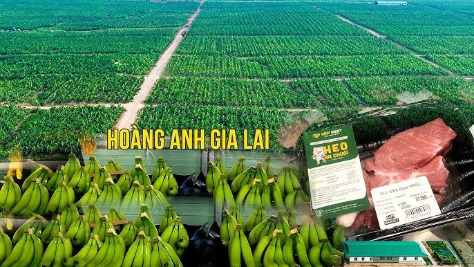 Doanh nghiệp của bầu Đức bị phạt và truy thu gần 1 tỷ đồng - ảnh 1