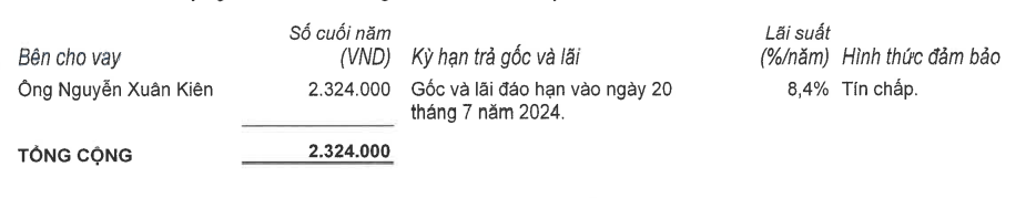 Dược Nam Hà: Lãi lao dốc, nặng gánh nợ vay - ảnh 3