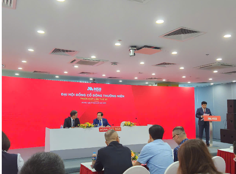 ĐHCĐ MSB: Mở rộng hoạt động chứng khoán, tìm mua công ty vốn 300–500 tỷ đồng - ảnh 1