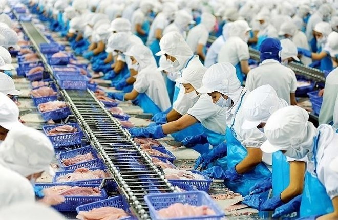 Vĩnh Hoàn: Tháng 3, doanh thu giảm nhẹ do thị trường xuất khẩu chính suy yếu - ảnh 1