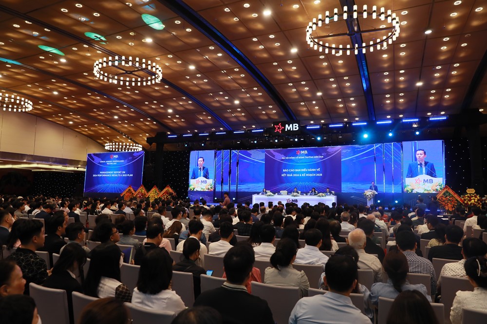 MB, FPT, Vinamilk, Sacombank đua xác lập kỷ lục cổ đông: Cổ đông phổ thông lớn có ý nghĩa gì với doanh nghiệp? - ảnh 1