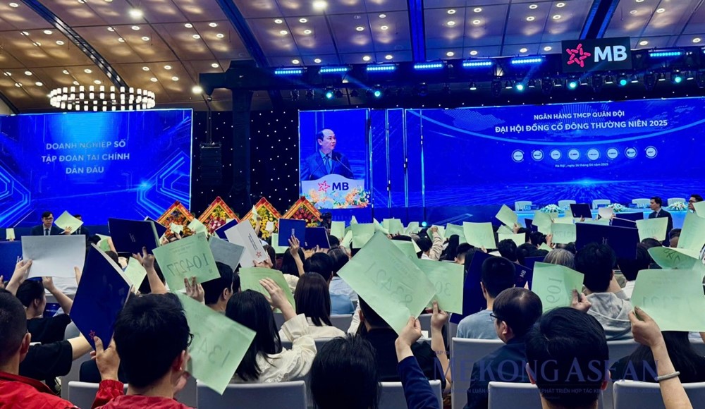 MB, FPT, Vinamilk, Sacombank đua xác lập kỷ lục cổ đông: Cổ đông phổ thông lớn có ý nghĩa gì với doanh nghiệp? - ảnh 4