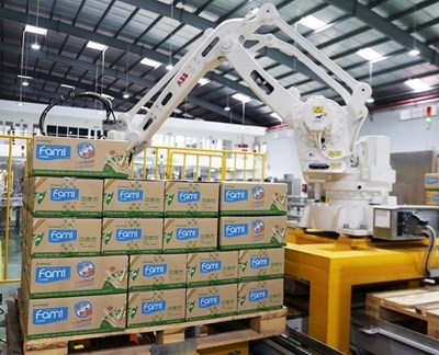  Đường Quảng Ngãi (QNS): Quý đầu chật vật, lợi nhuận xuống đáy gần 2 năm - ảnh 1