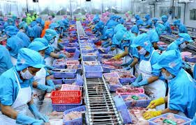 Xuất khẩu thủy sản tăng mạnh, nhưng vẫn đối mặt thách thức từ thị trường Mỹ - ảnh 1