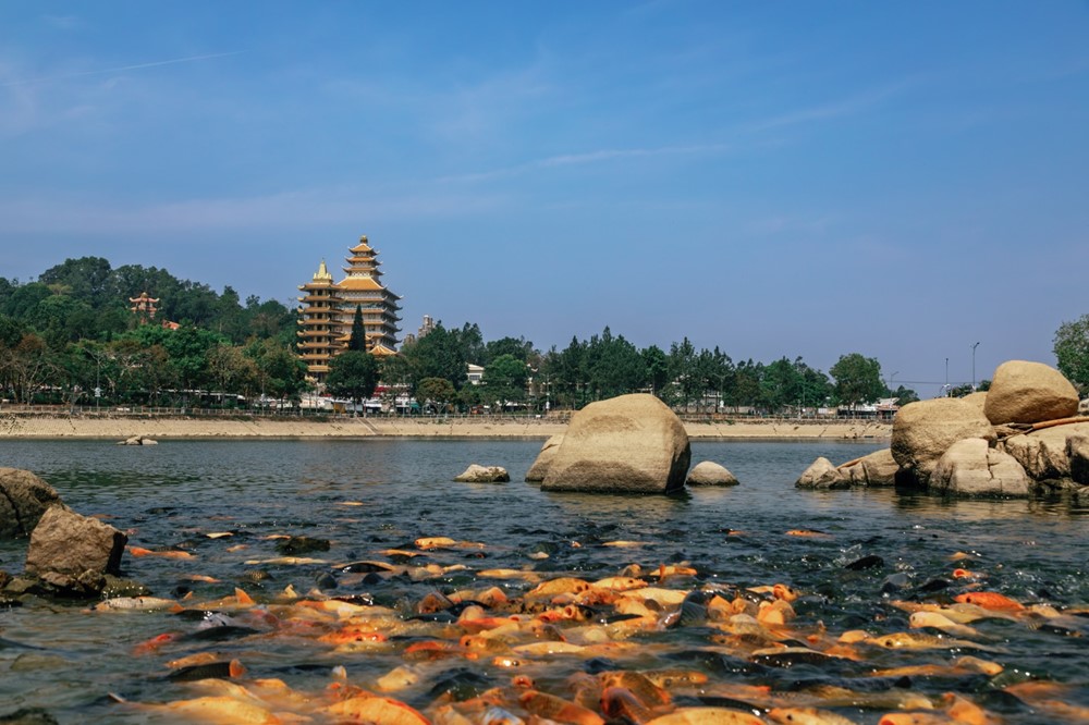 Những bản giao hưởng hoang dã của Thiên Cấm Sơn - ảnh 6