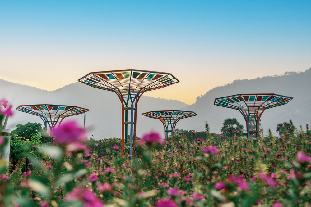 Núi Cấm còn gì khác ngoài tâm linh? - ảnh 2