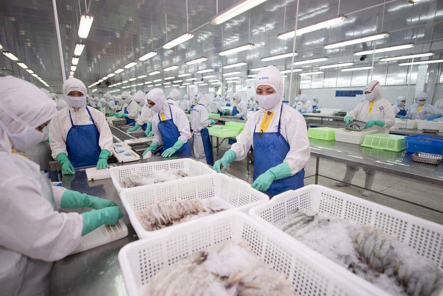 Điểm tin doanh nghiệp hôm nay: Fimex tăng tốc, Viettel Global bất ngờ chốt chia cổ tức, KIDO lên kế hoạch mở rộng - ảnh 1