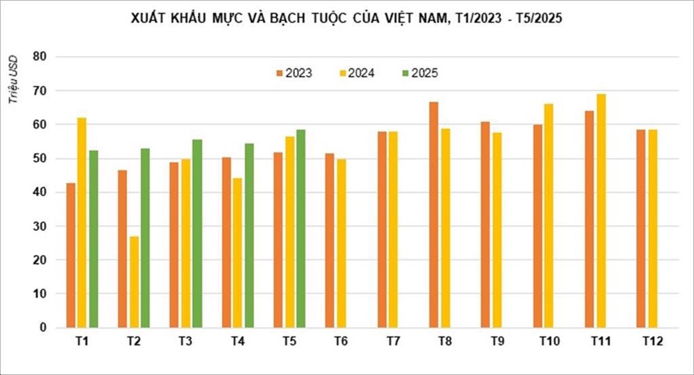 Xuất khẩu mực, bạch tuộc tăng tốc, kỳ vọng vượt mốc 700 triệu USD năm 2025 - ảnh 1