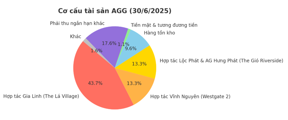 Bất động sản An Gia: Lợi nhuận khởi sắc, vốn nghìn tỷ “mắc kẹt” ở Dự án The Lá Village - ảnh 1