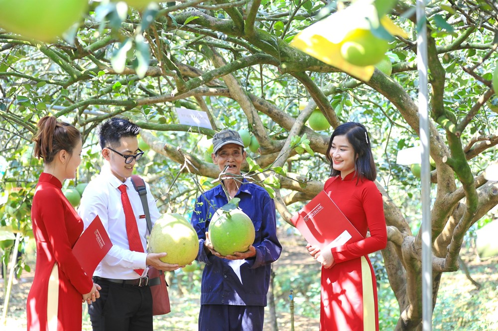 Agribank thúc đẩy phát triển bền vững với chương trình ưu đãi “xanh” - ảnh 2