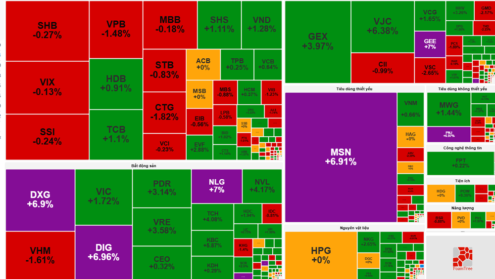 Dòng tiền đổ vào bất động sản, cổ phiếu DIG và DXG cùng tăng kịch trần - ảnh 1