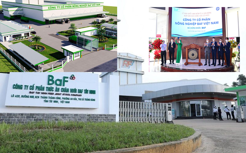 BaF Việt Nam điều chỉnh kế hoạch giải ngân 1.000 tỷ đồng trái phiếu - ảnh 1