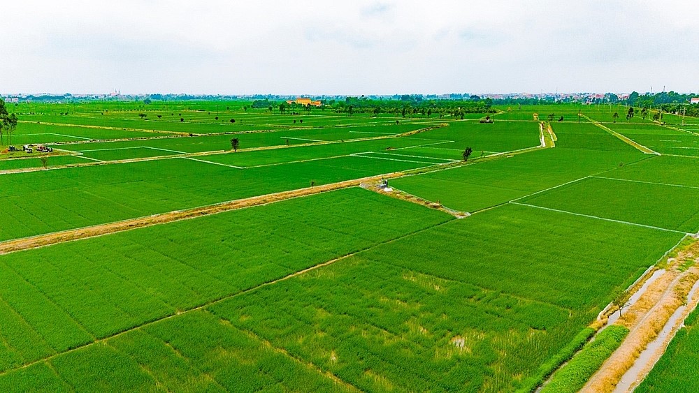 Sân bay đầu tiên của Bộ Công an tại tỉnh nhỏ nhất Việt Nam có phí giải phóng mặt bằng lên đến 800 tỷ đồng - ảnh 2